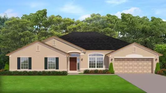 Pine Ridge by Adams Homes in Dunnellon - photo 4 4