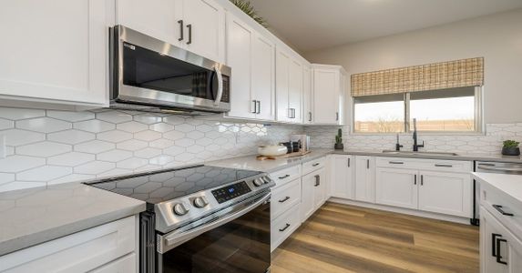 Eminence at Alamar by William Ryan Homes in Avondale - photo 34 34