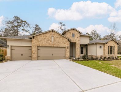 Stewart’s Forest by Sitterle Homes in Conroe - photo 3 3