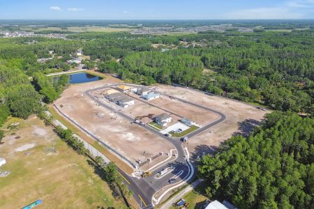 Oakstead Estates by M/I Homes in Land O' Lakes - photo 21 21