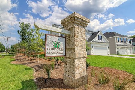Cordgrass Landing by Mungo Homes in Johns Island - photo 2 2