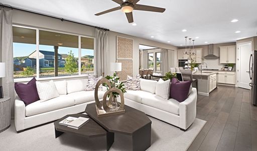 Madera West Estates by Richmond American Homes in Queen Creek - photo 22 22