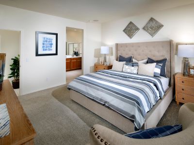 The Preserve at Province II by Meritage Homes in Maricopa - photo 22 22