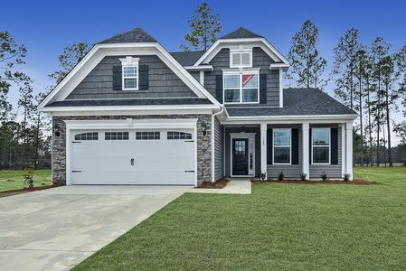 Daniel Farms by Eastwood Homes in Benson - photo 2 2