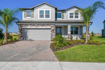 Berry Bay by M/I Homes in Wimauma - photo 43 43