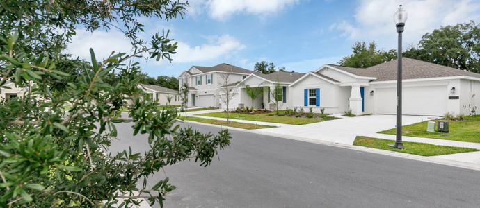 Leoma's Landing: Grand Collection by Lennar in Lake Wales - photo 0
