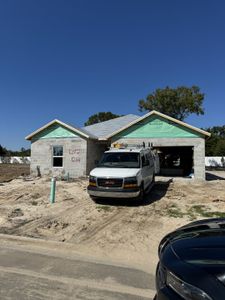 Vineland Reserve by Lennar in Osteen - photo 13 13