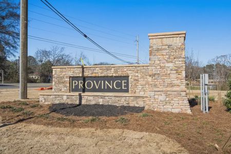 Province at Hickory Flat by Smith Douglas Homes in Holly Springs - photo 0