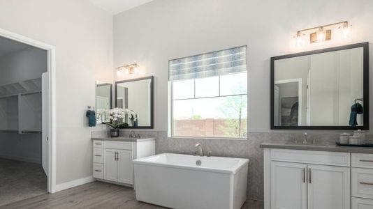 Legado Capstone Collection by Taylor Morrison in Queen Creek - photo 45 45