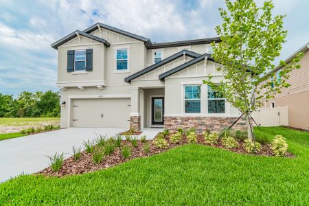 Epperson by M/I Homes in Wesley Chapel - photo 21 21