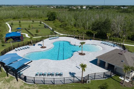 Hammock Reserve by Casa Fresca Homes in Haines City - photo 3 3
