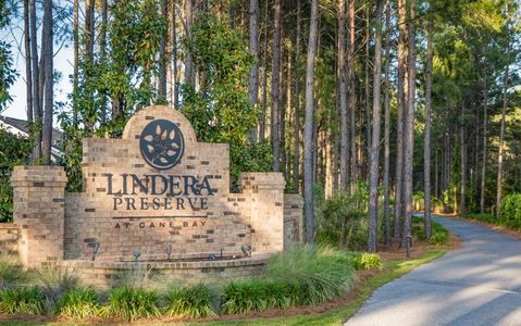 Lindera Preserve at Cane Bay Plantation: American Dream Series by Lennar in Summerville - photo 9 9