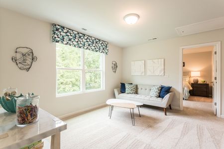 Petterson Meadows by Mungo Homes in Summerville - photo 58 58