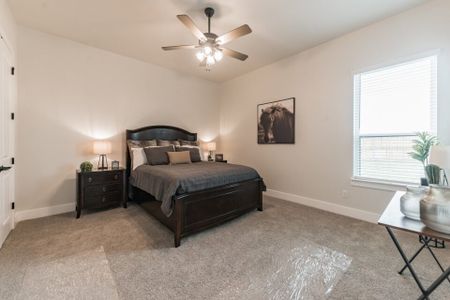 Eagle Heights by Carothers Executive Homes in Salado - photo 10 10