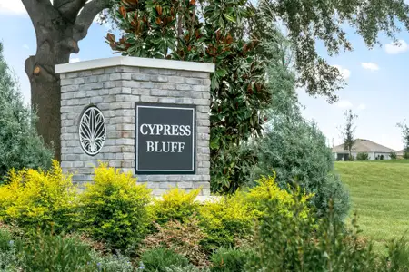 Cypress Bluff I by KB Home in Groveland - photo 0