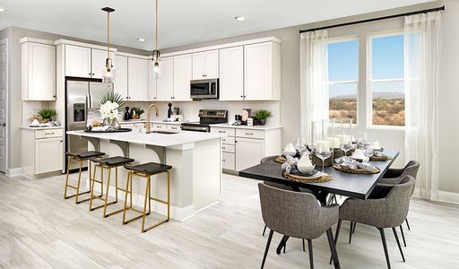 Seasons at Entrada Del Oro by Richmond American Homes in Gold Canyon - photo 50 50