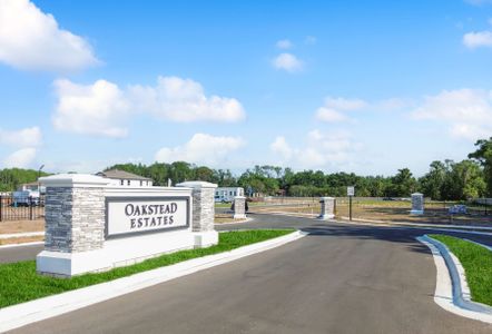 Oakstead Estates by M/I Homes in Land O' Lakes - photo 22 22