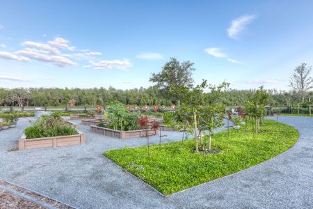 Laureate Park at Lake Nona - Village Series by David Weekley Homes in Orlando - photo