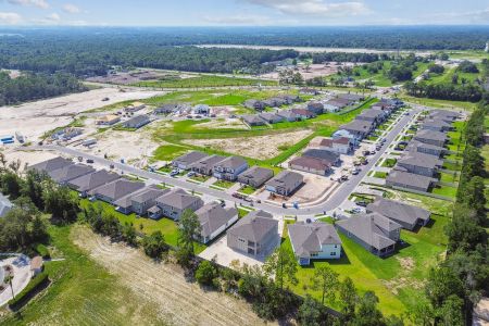 Avalon West by M/I Homes in Spring Hill - photo 0