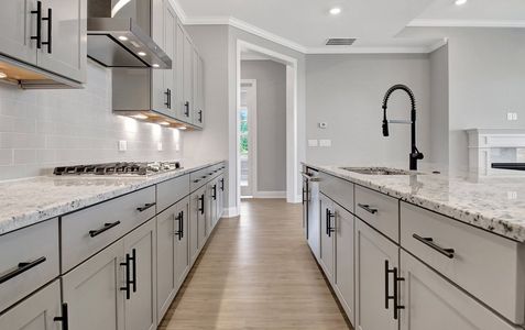 Oak Hill Reserve by Kolter Homes in Newnan - photo 7 7