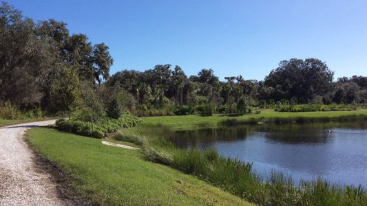 Artistry Sarasota by Kolter Homes in Sarasota - photo 2 2