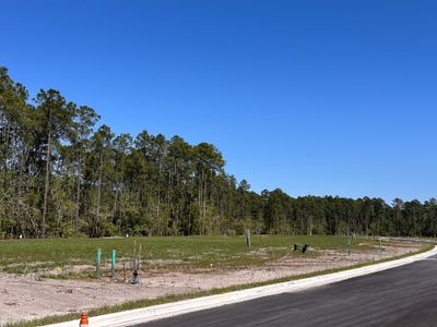 Palms at Windermere by Dream Finders Homes in Winter Garden - photo 21 21