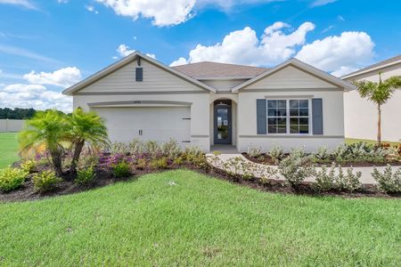 Riverstone by D.R. Horton in Lakeland - photo