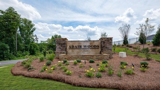 Adair Woods by D.R. Horton in Davidson - photo