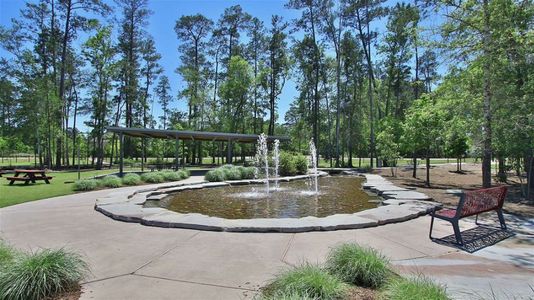 Grand Central Park 50' by Perry Homes in Conroe - photo 9 9