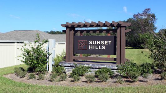 Sunset Hills by D.R. Horton in Summerfield - photo 3 3