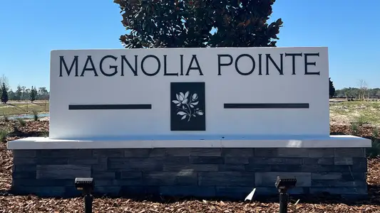 Magnolia Pointe Express Series by D.R. Horton in 904 Bear Hammock Drive, Umatilla, FL 32784 - photo