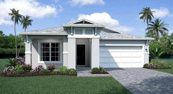 Serengeti by Biscayne Homes in Spring Hill - photo 6 6