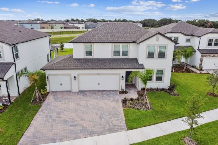 Hawthorne Ranch by M/I Homes in Lakeland - photo 6 6