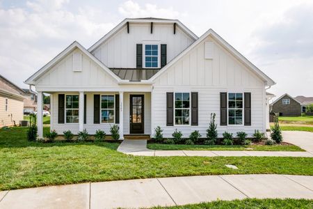 High Point at Foxbank by Dream Finders Homes in Moncks Corner - photo