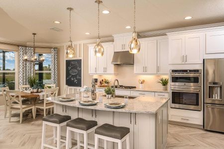 Eave's Bend at Artisan Lakes by Taylor Morrison in Palmetto - photo 63 63