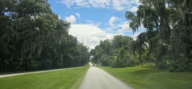 Deer Path by D.R. Horton in Ocala - photo 7 7