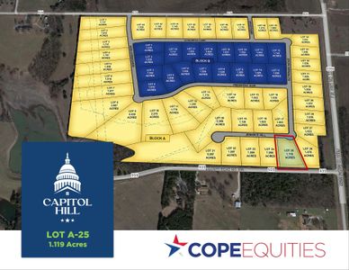 Capitol Hill by Cope Homes in Van Alstyne - photo 12