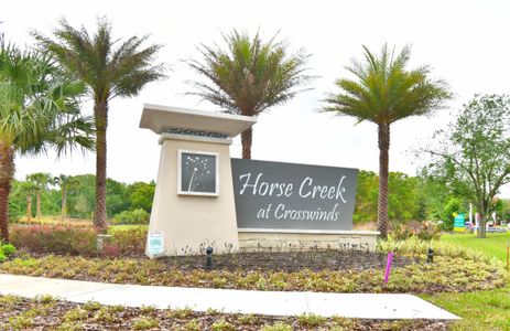 Horse Creek at Crosswinds by Adams Homes in Davenport - photo 14