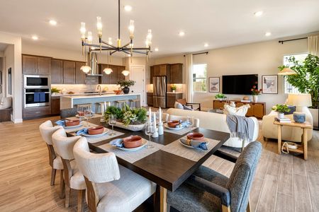 Jacamar at Waterston Central by Tri Pointe Homes in Gilbert - photo 33 33