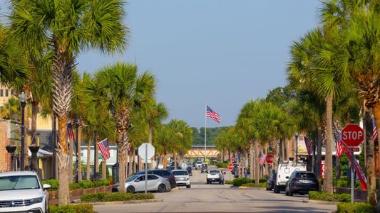 Cresswind at Lake Harris by Kolter Homes in Tavares - photo 10 10