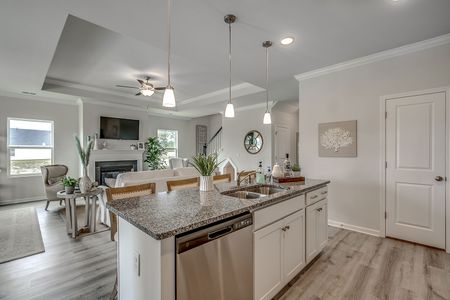 Petterson Meadows by Mungo Homes in Summerville - photo 97 97