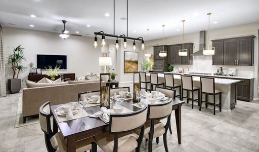 Estates at Arroyo Seco by Richmond American Homes in Buckeye - photo 9 9