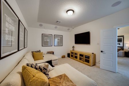 Buffalo Crossing by Coventry Homes in Cibolo - photo 37 37