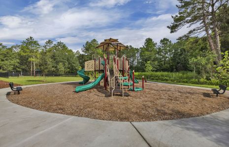 Double Branch by Pulte Homes in Middleburg - photo