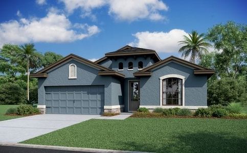 Rose Haven by Vitale Homes in New Port Richey - photo 4