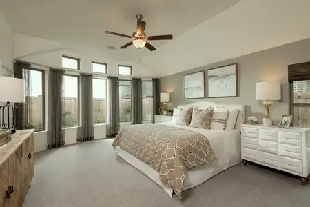 Towne Lake Park Side 50' by Coventry Homes in Houston - photo 29 29
