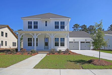 Point Hope - Village Collection by David Weekley Homes in Charleston - photo 11