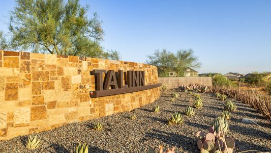 Talinn at Desert Ridge by D.R. Horton in Phoenix - photo 48 48