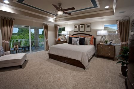 Sawgrass Bay by Home Dynamics Corporation in Clermont - photo 13 13
