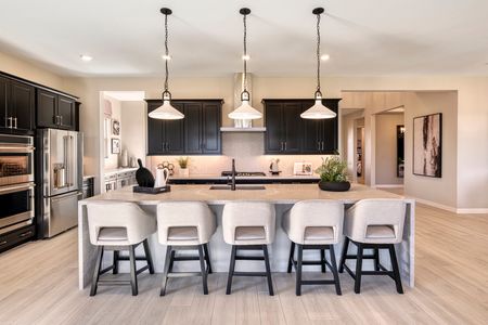 Canastero at Waterston Central by Tri Pointe Homes in Gilbert - photo 25 25